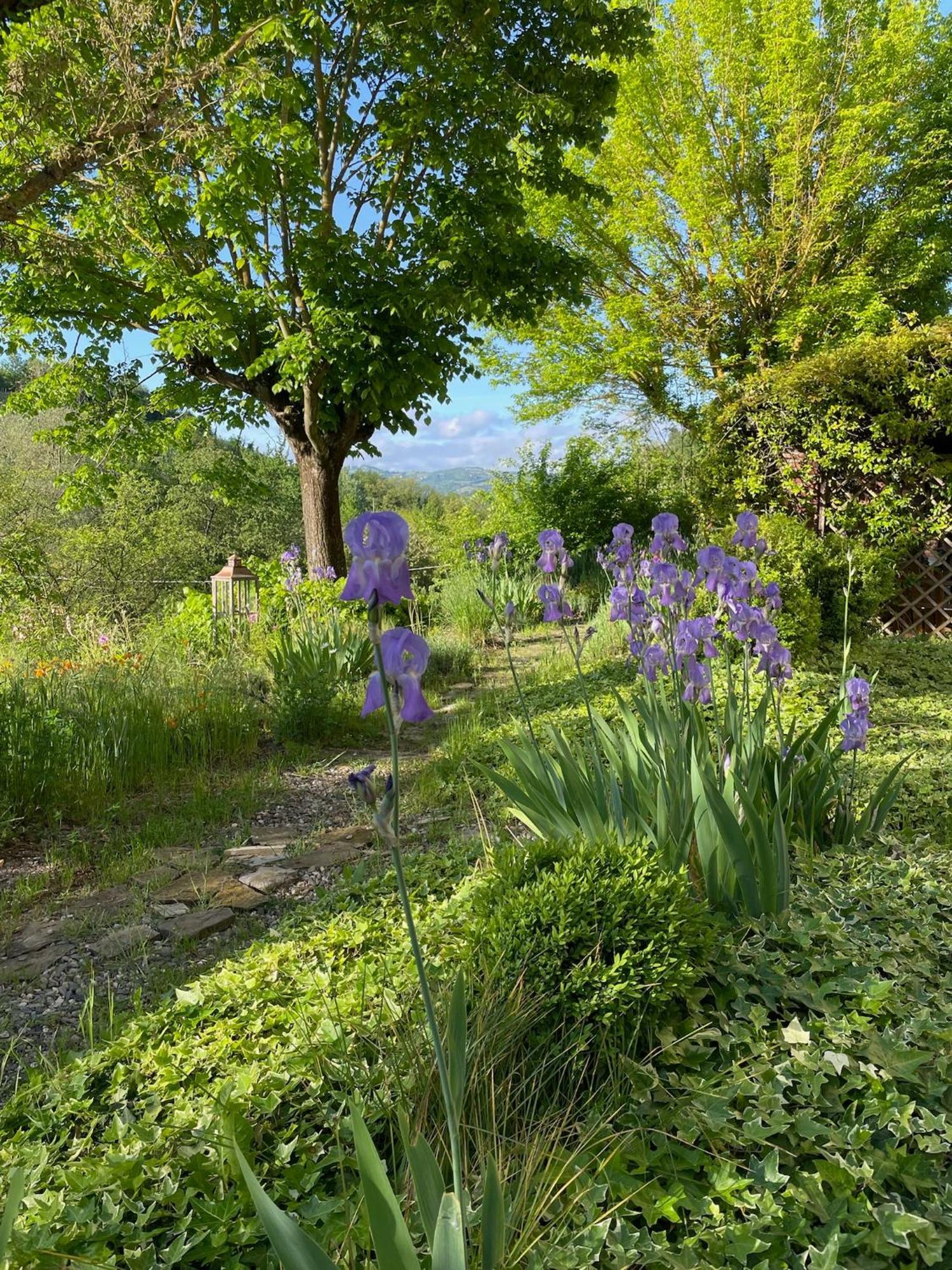 Verdmont Guest House Acqui Terme Exterior foto