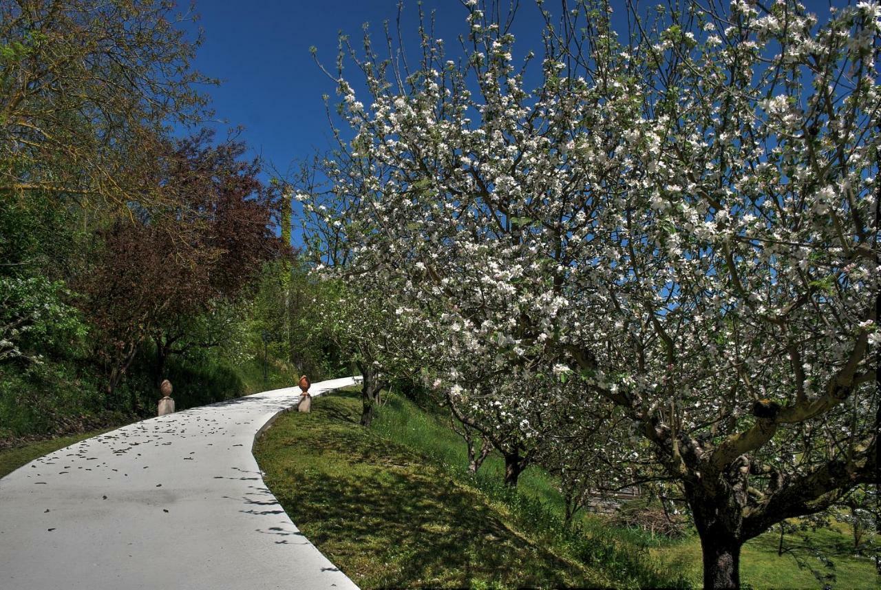 Verdmont Guest House Acqui Terme Exterior foto